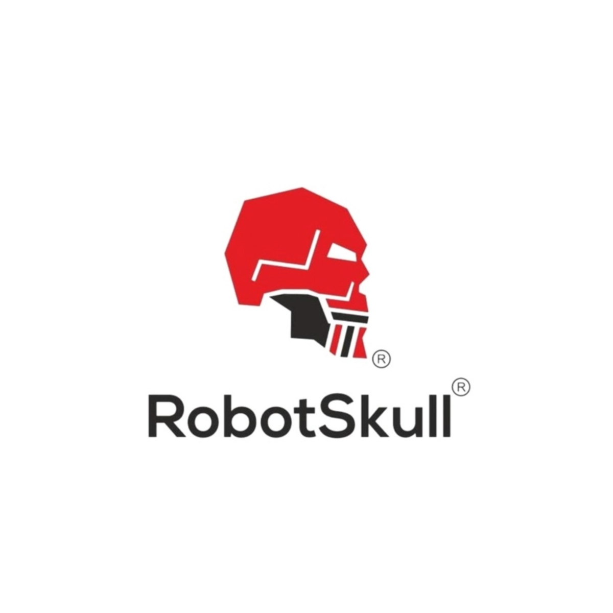 Robotskull